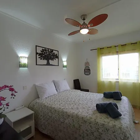 Apartment Shack Flat In Center